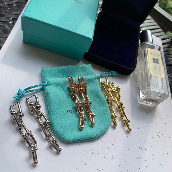 T HardWear Graduated Link Earrings